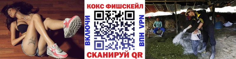 COCAIN Fish Scale  закладка  Елизаветинская 