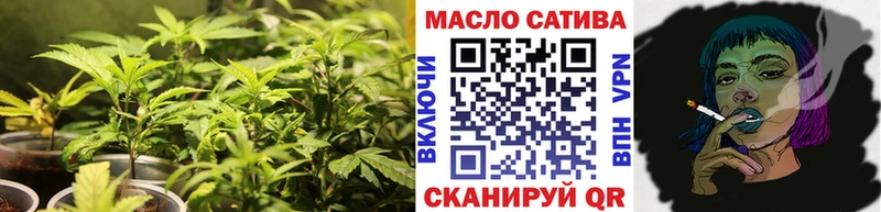 ТГК вейп с тгк  продажа наркотиков  Елизаветинская 
