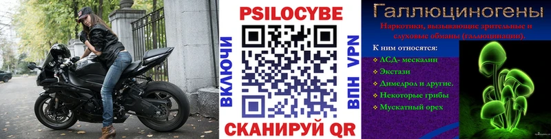 Галлюциногенные грибы Psilocybe  закладки  Елизаветинская 
